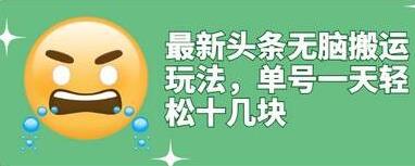 [自媒体运营] 最新头条无脑搬运玩法，单号一天轻松十几块【视频教程+搬运软件】