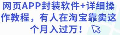 网页APP封装软件【安卓版】+详细操作教程，有人在淘宝靠卖这个月入过万！