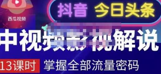 [自媒体运营] 中视频影视解说—掌握流量密码，自媒体运营创收，批量运营账号 