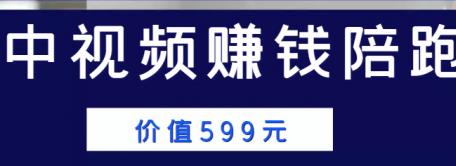 [自媒体运营] 中视频赚钱陪跑，卖中视频账户赚钱收益陪跑项目（价值599元） 