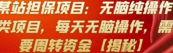 [综合资源] 某站担保项目：无脑纯操作类项目，每天无脑操作，需要周转资金【揭秘】